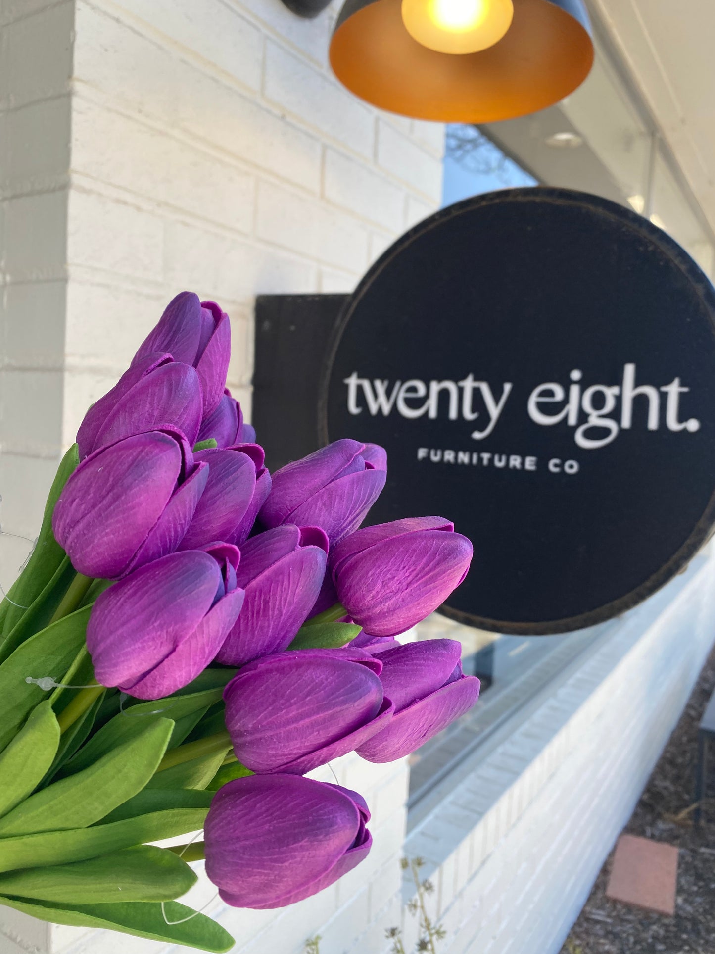 Purple Tulips