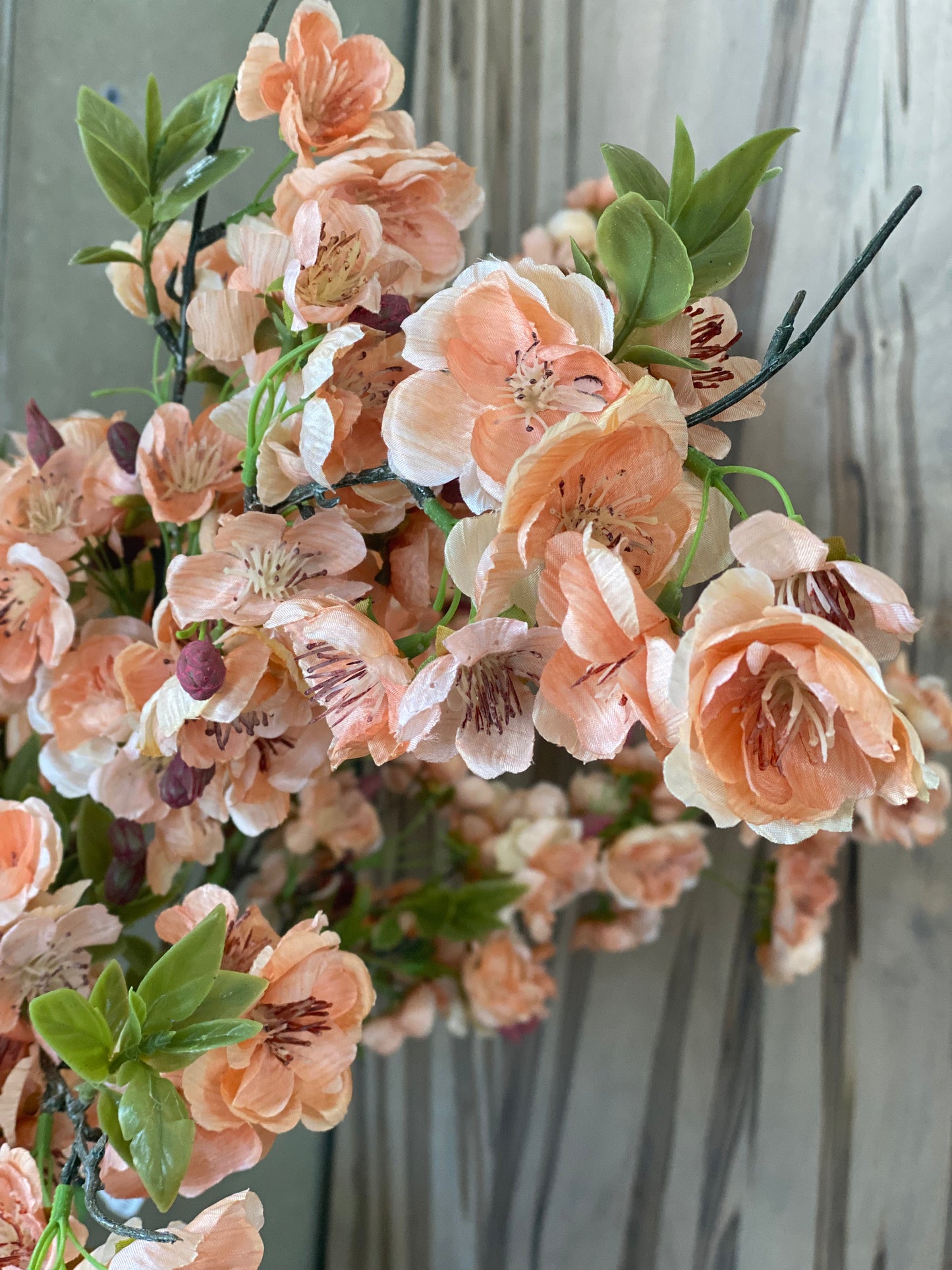 Apple Blossom Peach