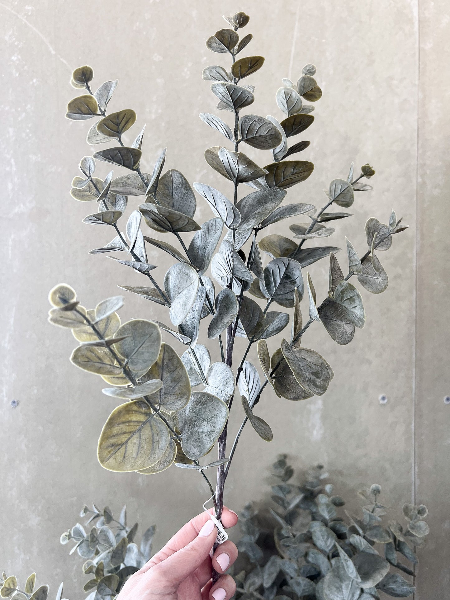 Eucalyptus Stem Matte Green