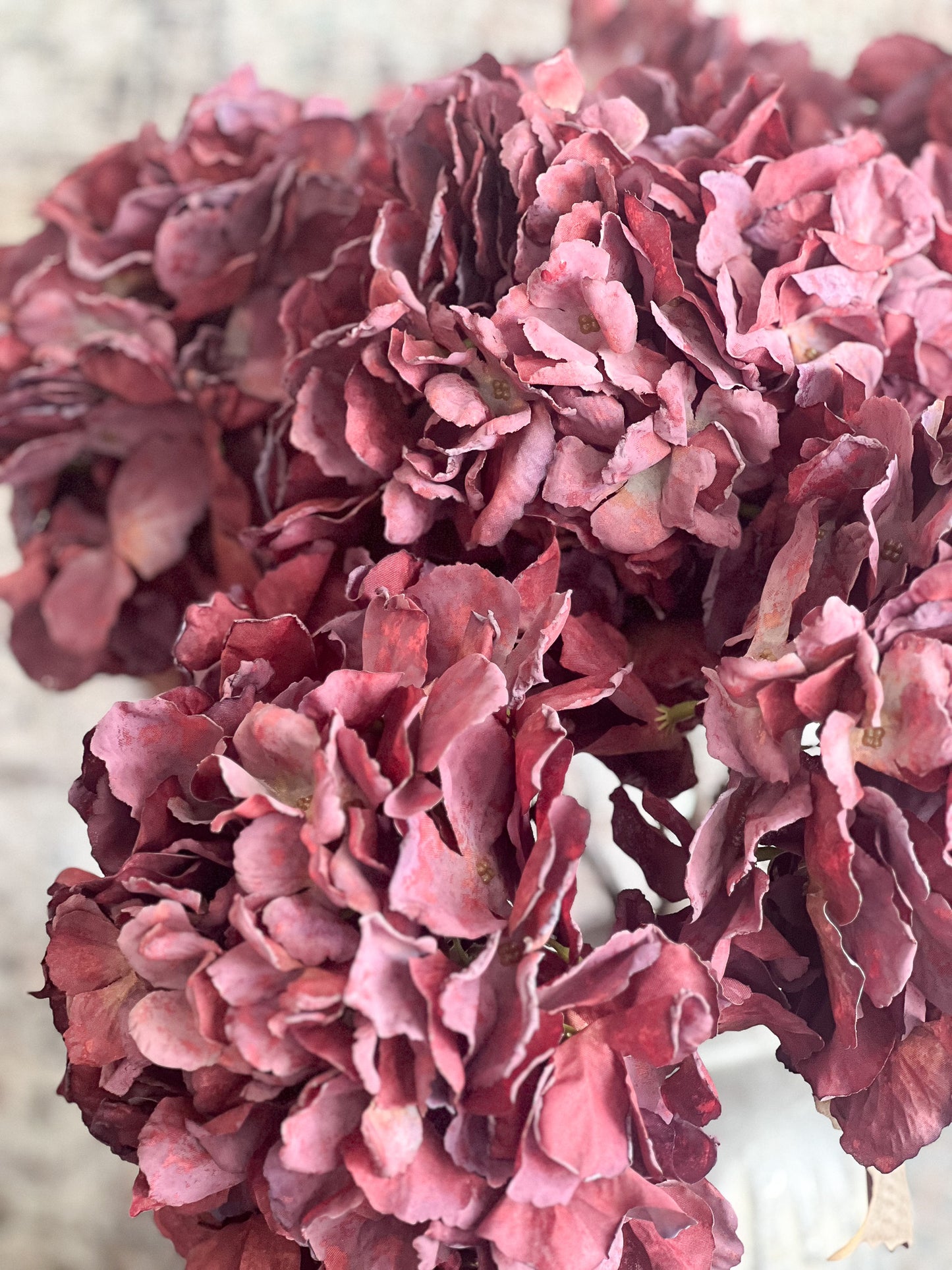 Empire Hydrangea-Burgandy