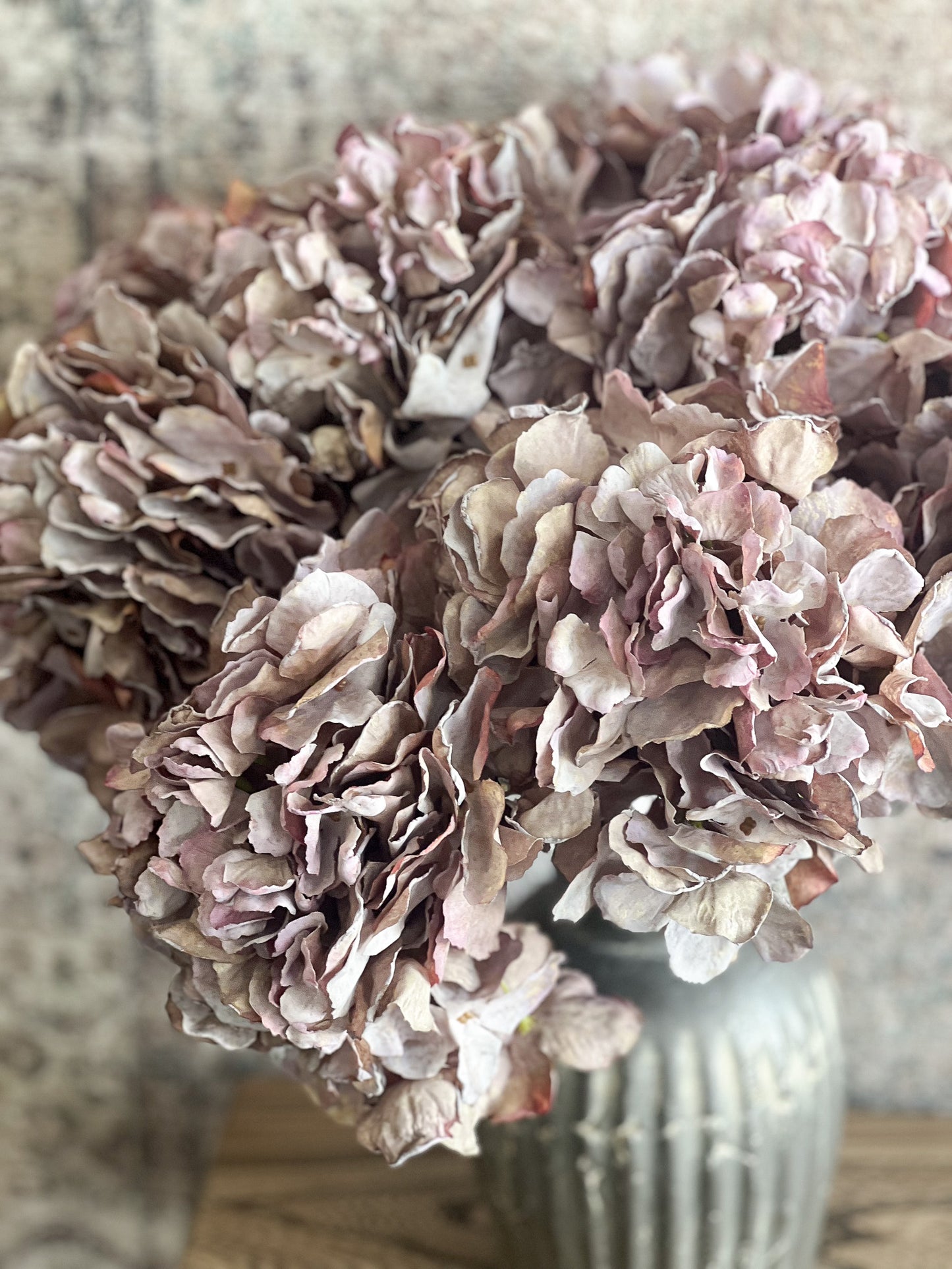 Empire Hydrangea-Dusty Plum
