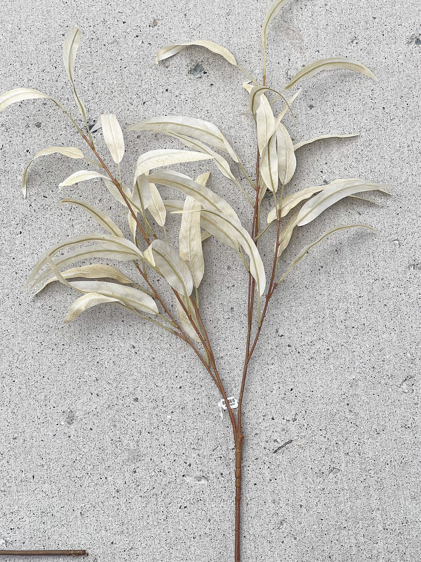 Bleached Eucalyptus Leaf