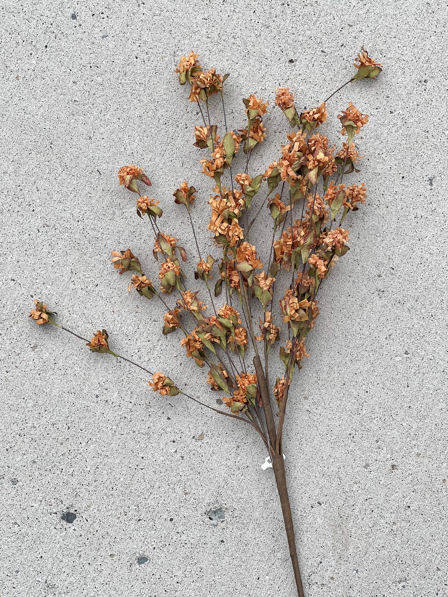 23" Fall mum stem