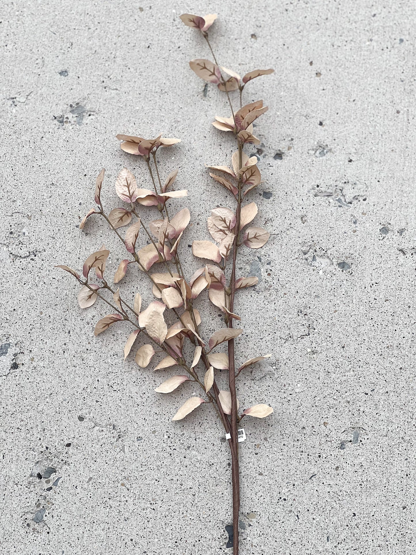 Fall Beige Eucalyptus