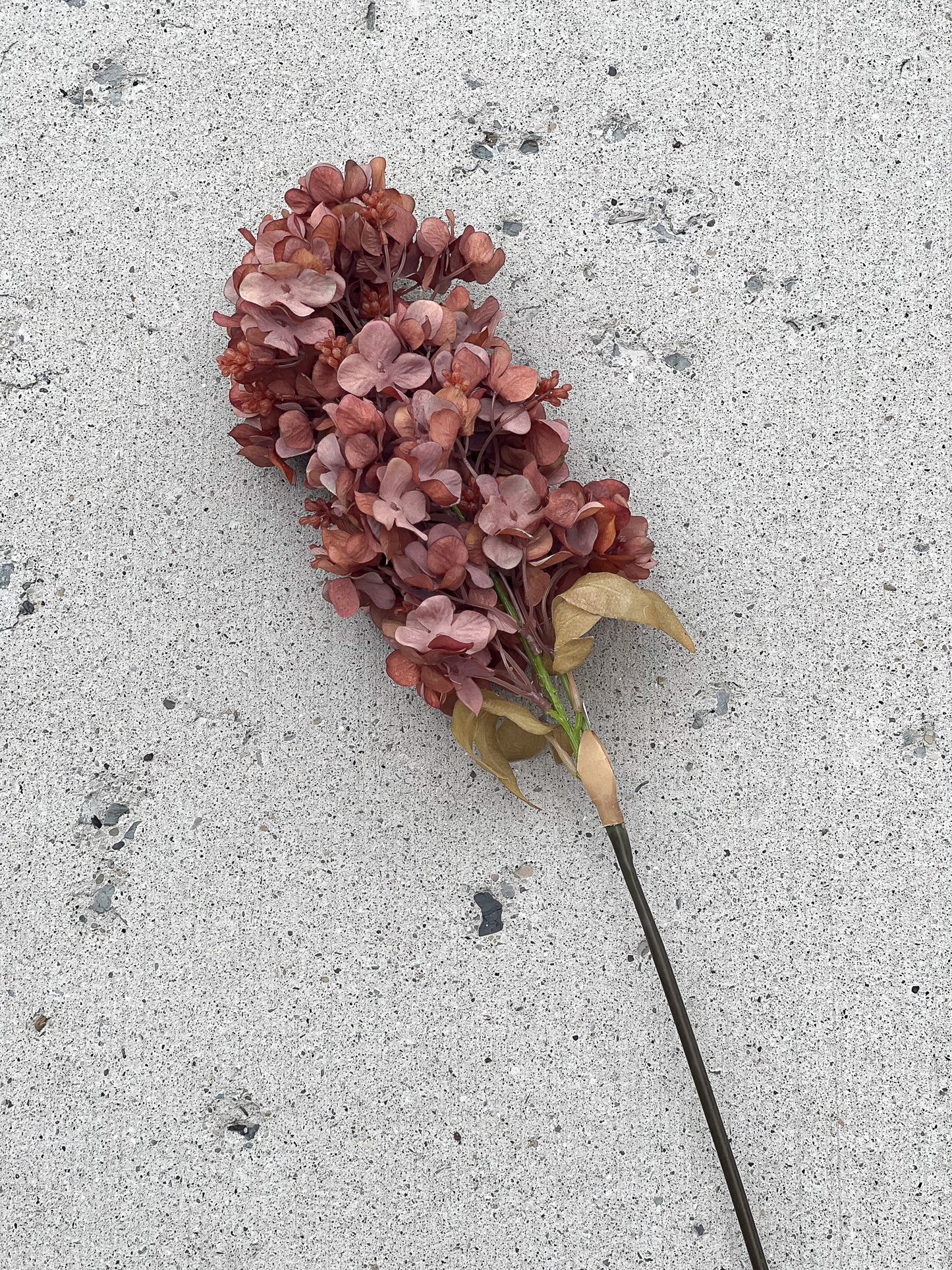 Fall Rust Hydrangea