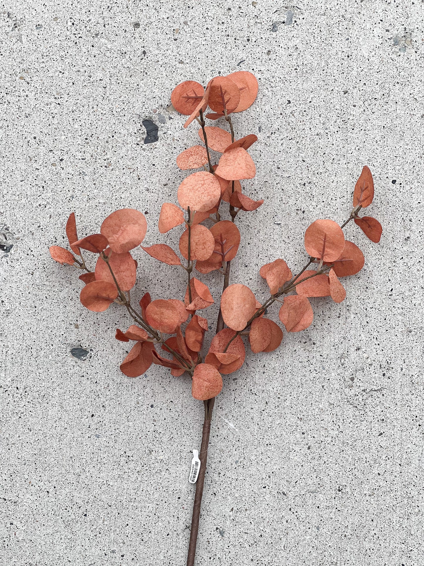 Orange Eucalyptus 18"