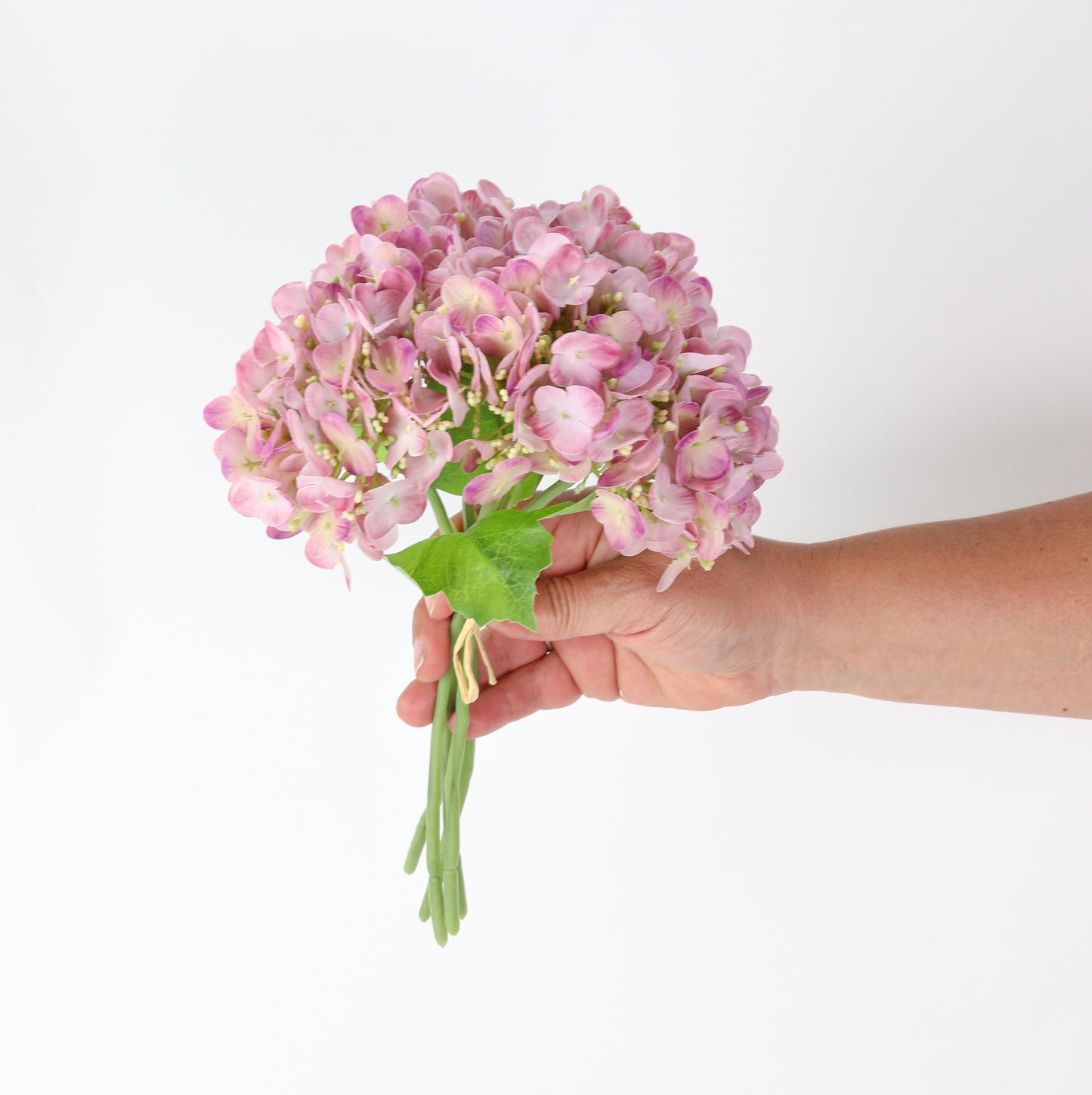 Blush Hydrangea Bunch
