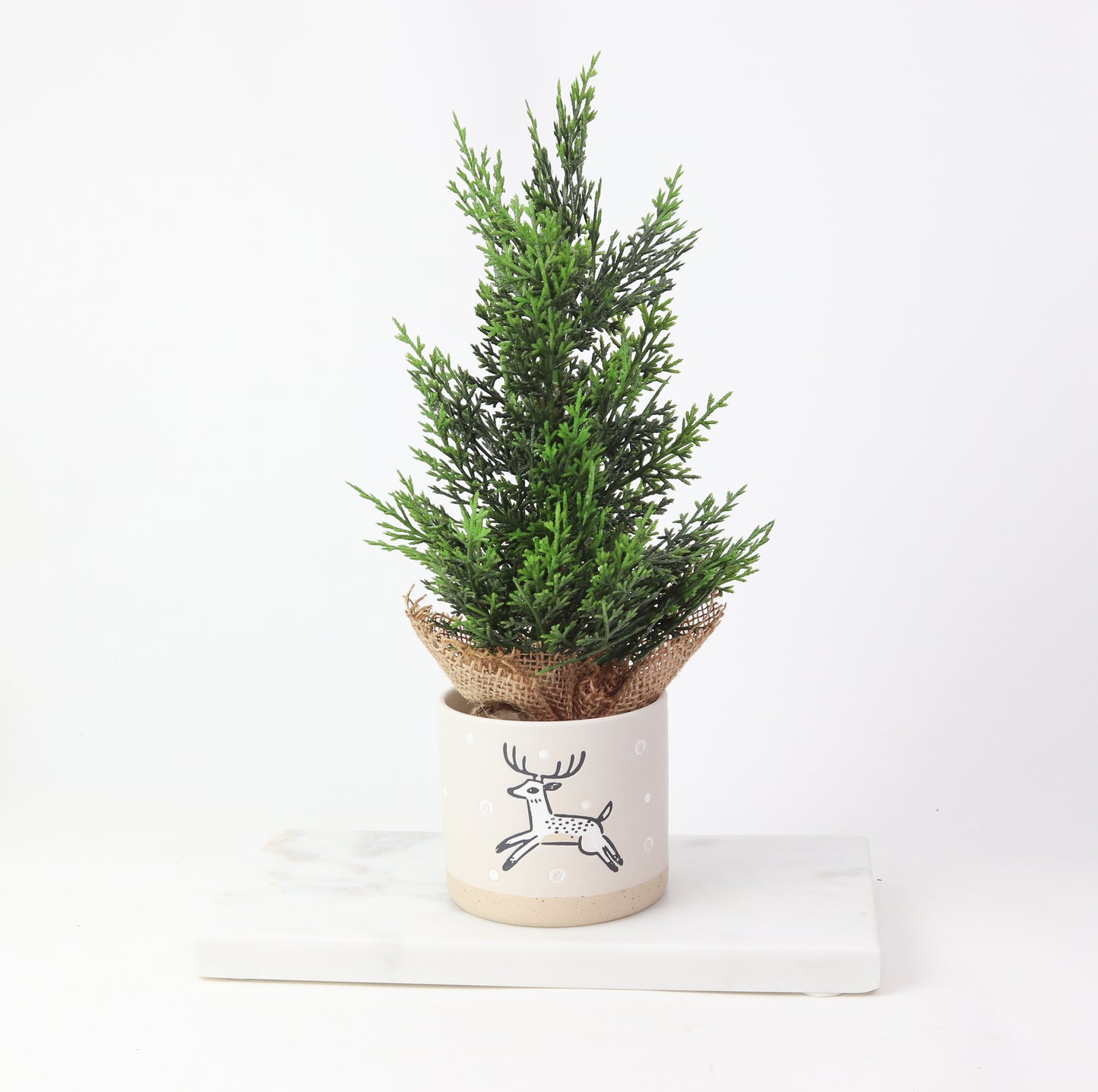 15" Cedar Tree W/Burlap