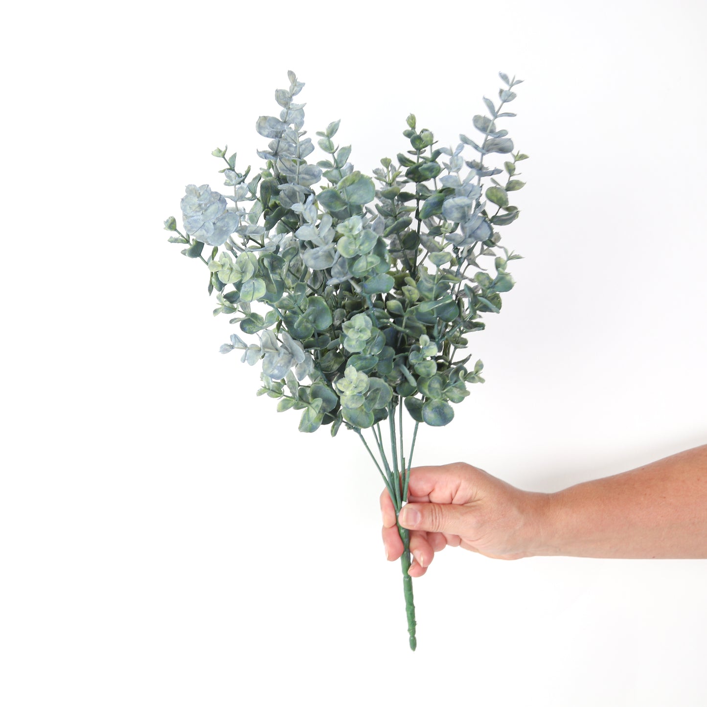 Eucalyptus Bush 18.5"