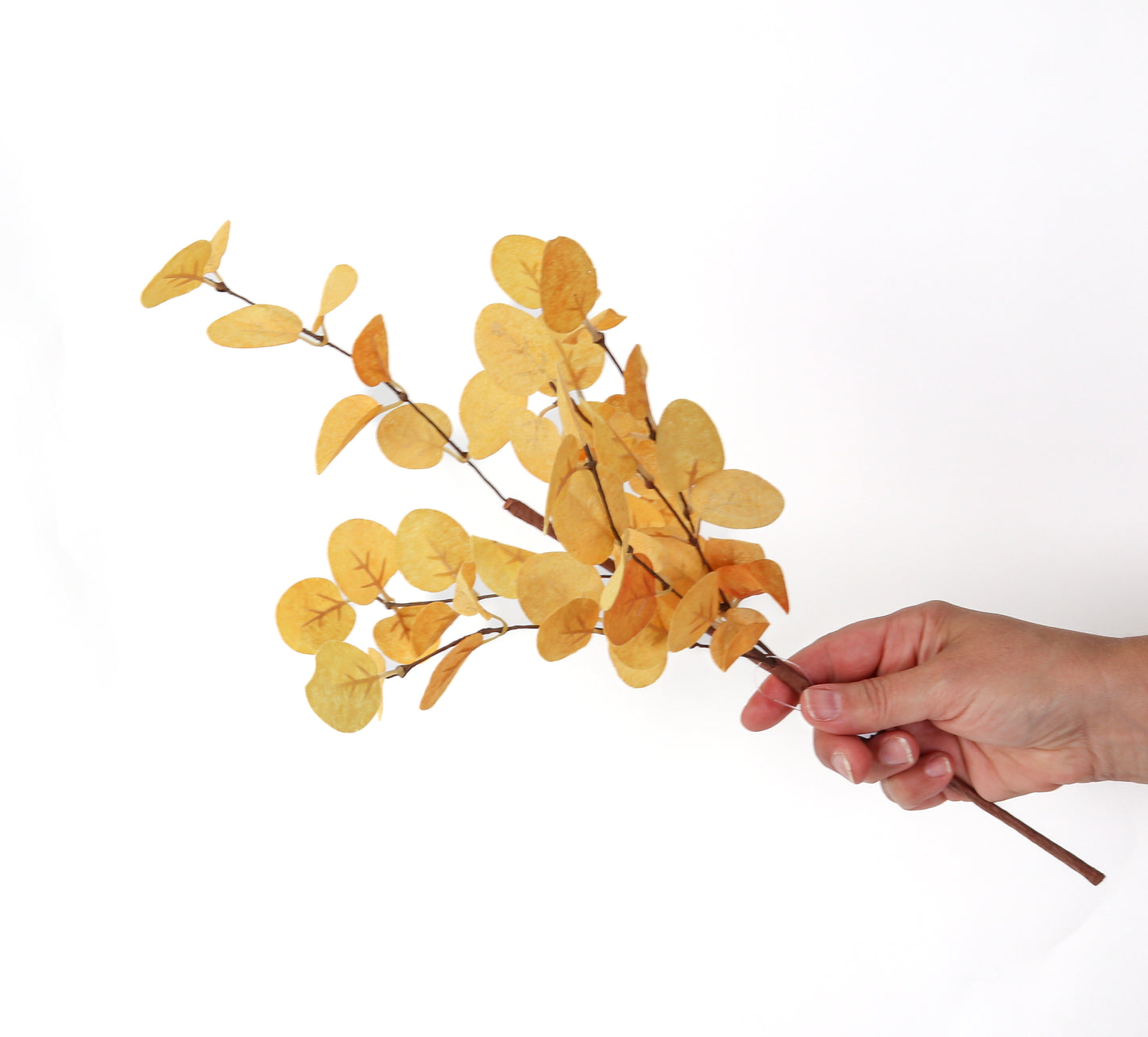 Gold Eucalyptus 18"