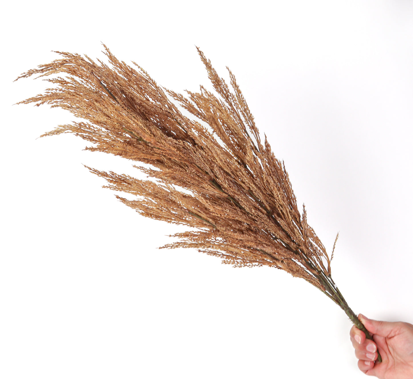 Wheat Bush 24"