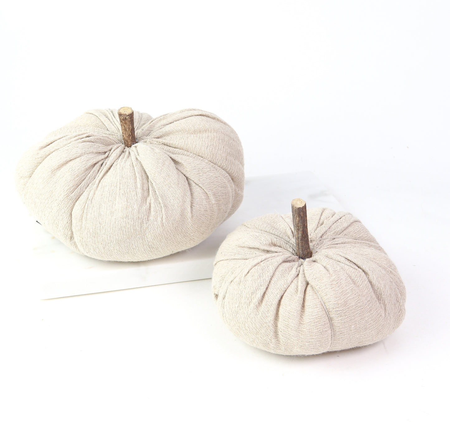 Nutmeg Pumpkin W/Wood Stem