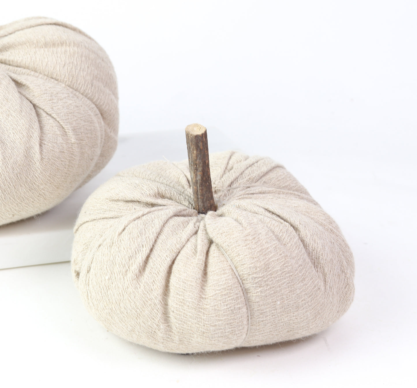 Nutmeg Pumpkin W/Wood Stem