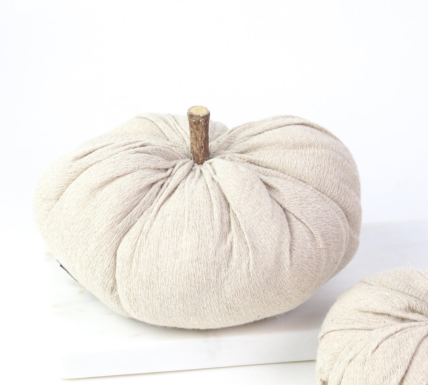 Nutmeg Pumpkin W/Wood Stem