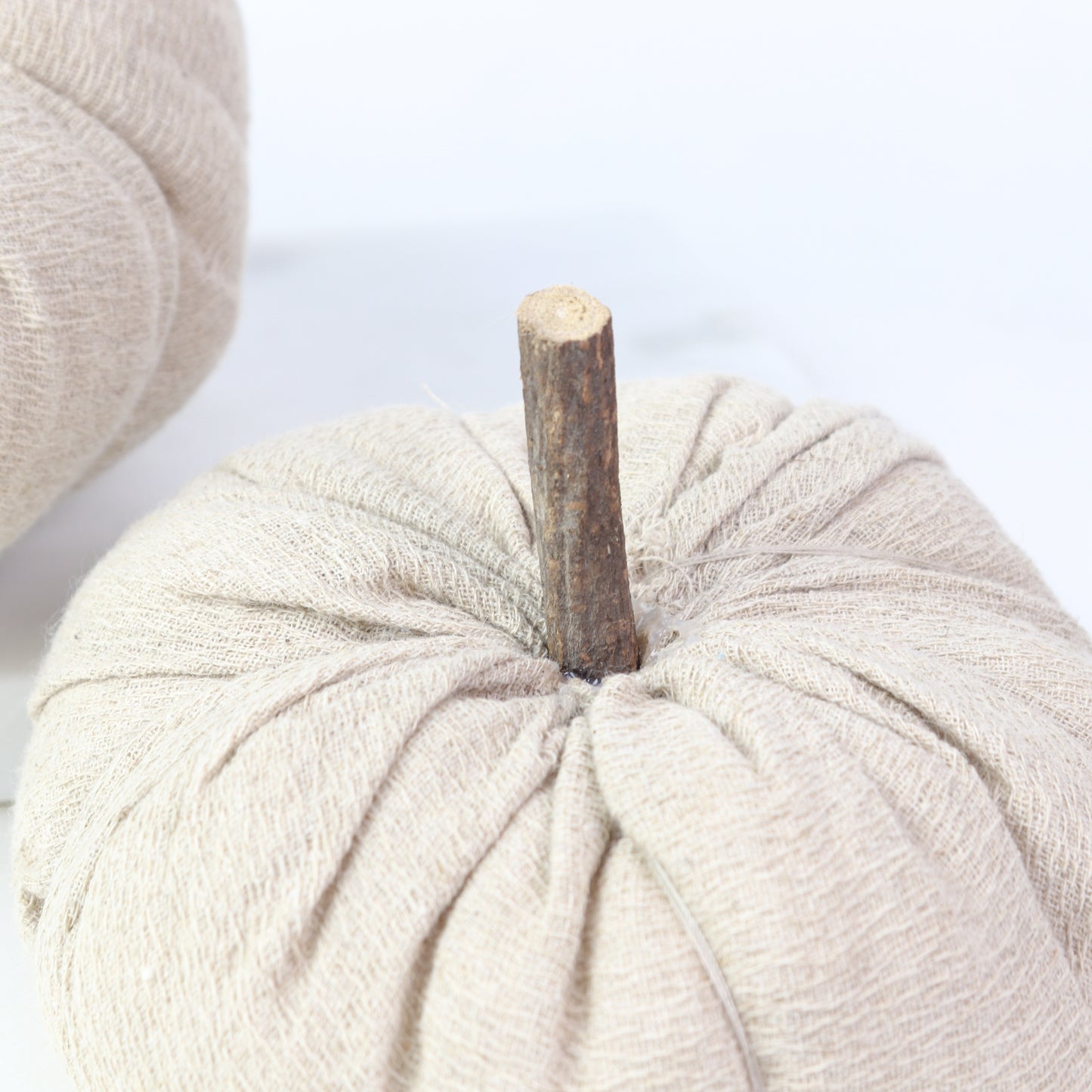 Nutmeg Pumpkin W/Wood Stem