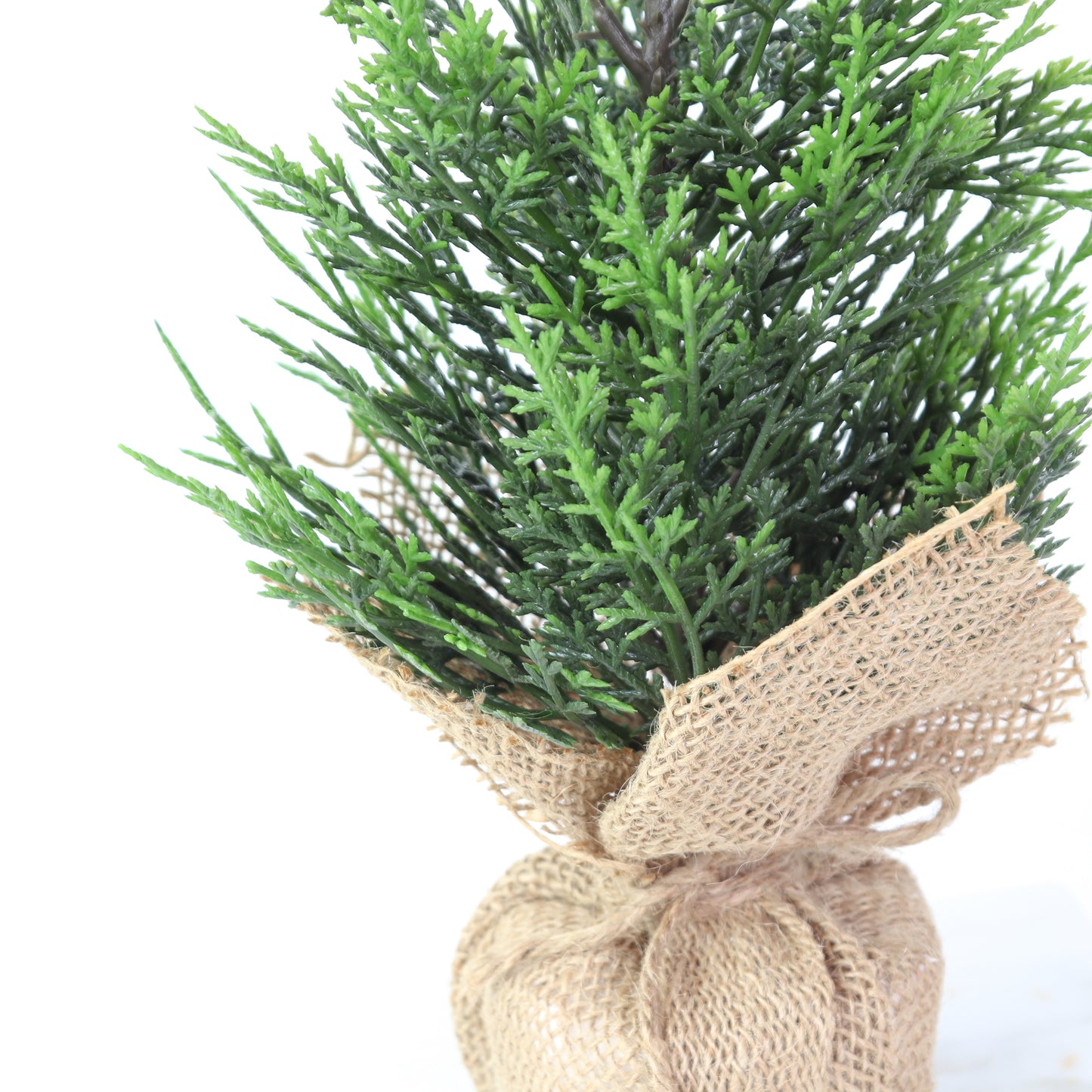 15" Cedar Tree W/Burlap