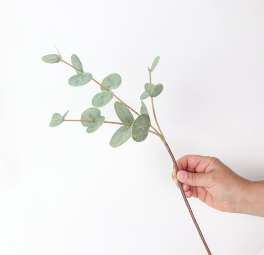 18" Round Eucalyptus