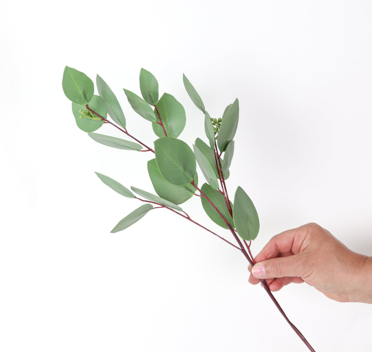 Heart Eucalyptus 19"
