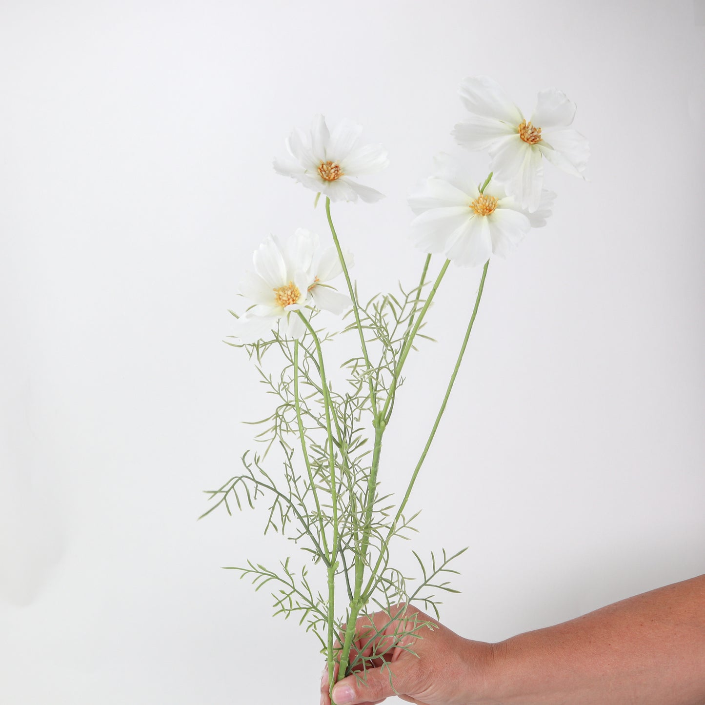 35" White Cosmo