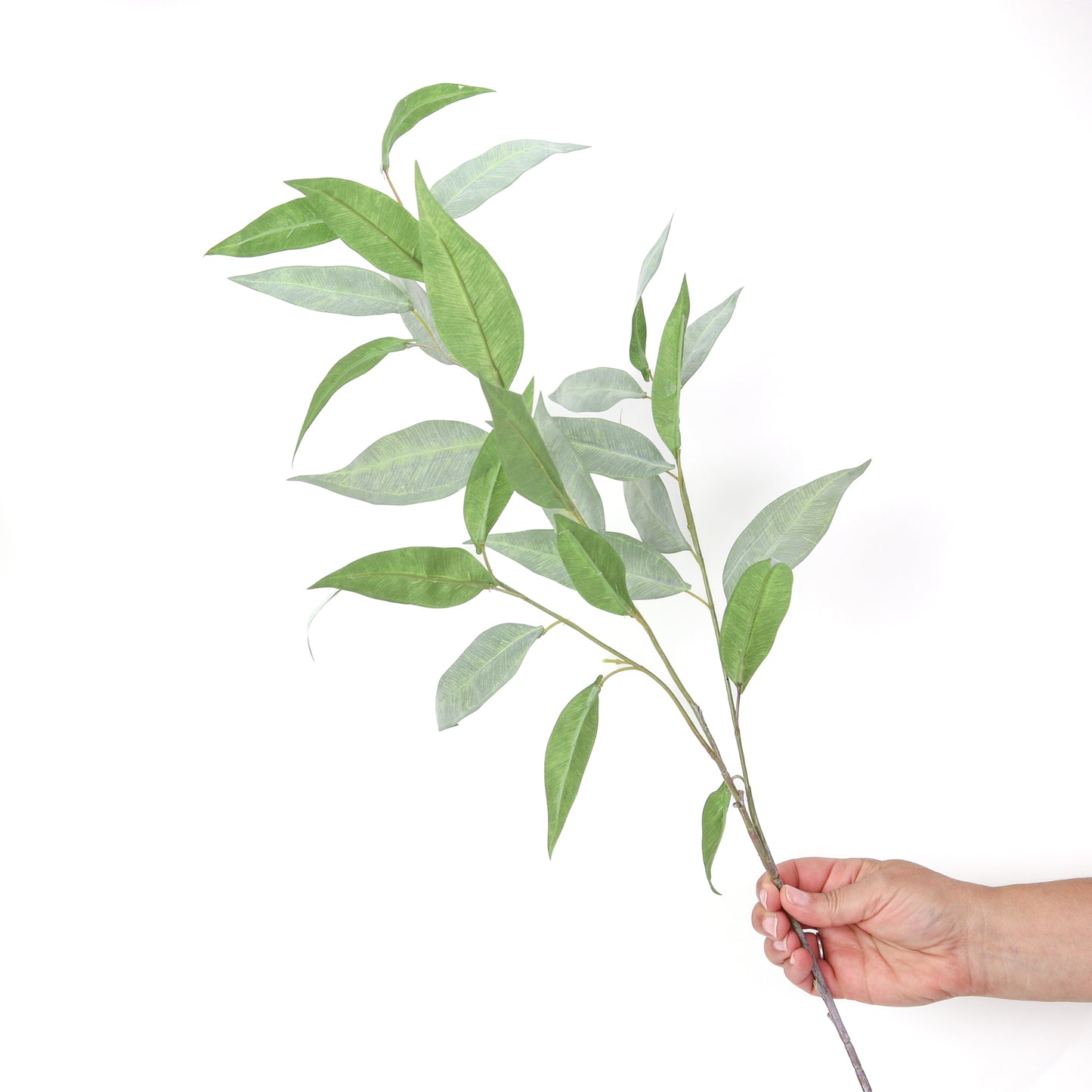 Willow Spray