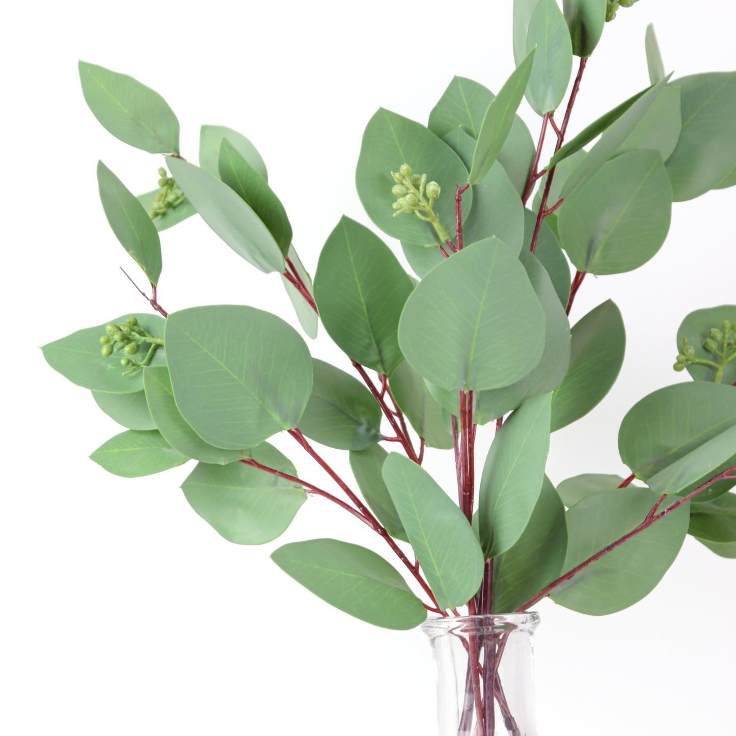 Heart Eucalyptus 19"