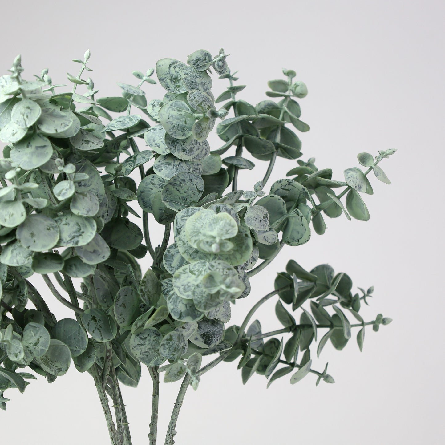 Eucalyptus Bunch