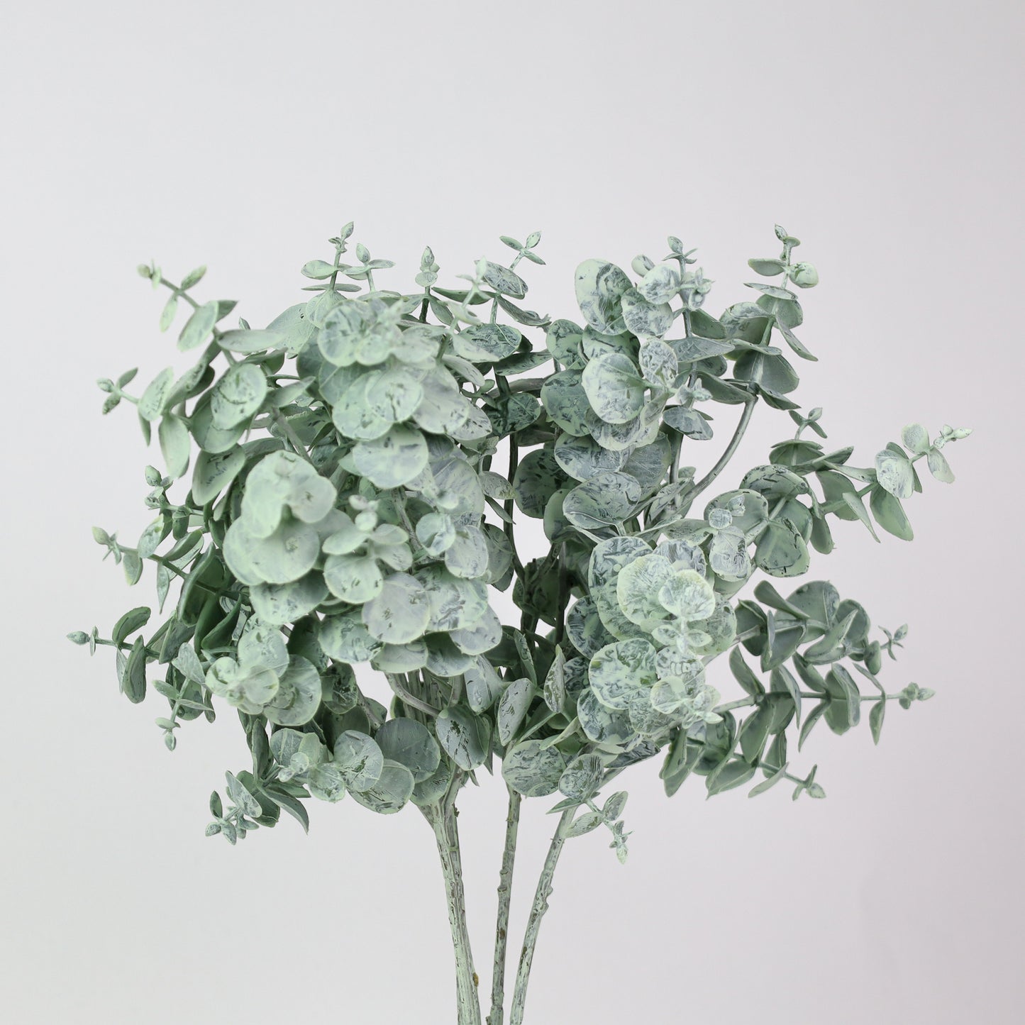 Eucalyptus Bunch
