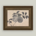 8x10 Branch of Fruit