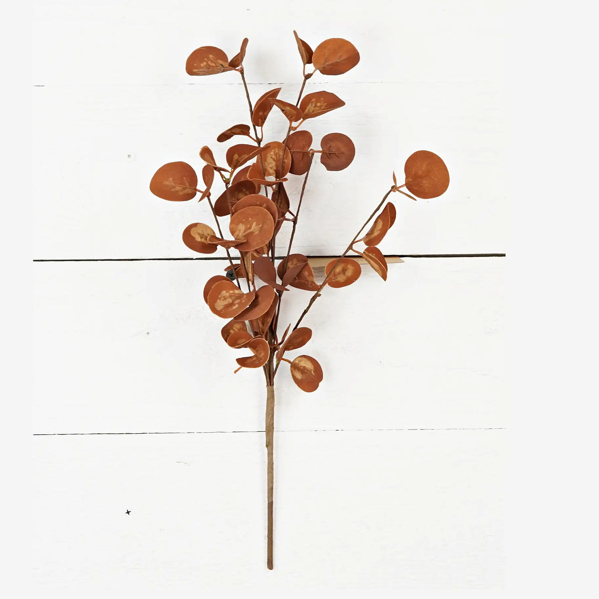 16" Coffee Eucalyptus Leaf
