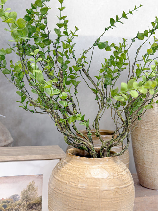 18" Boxwood Eucalyptus Bush