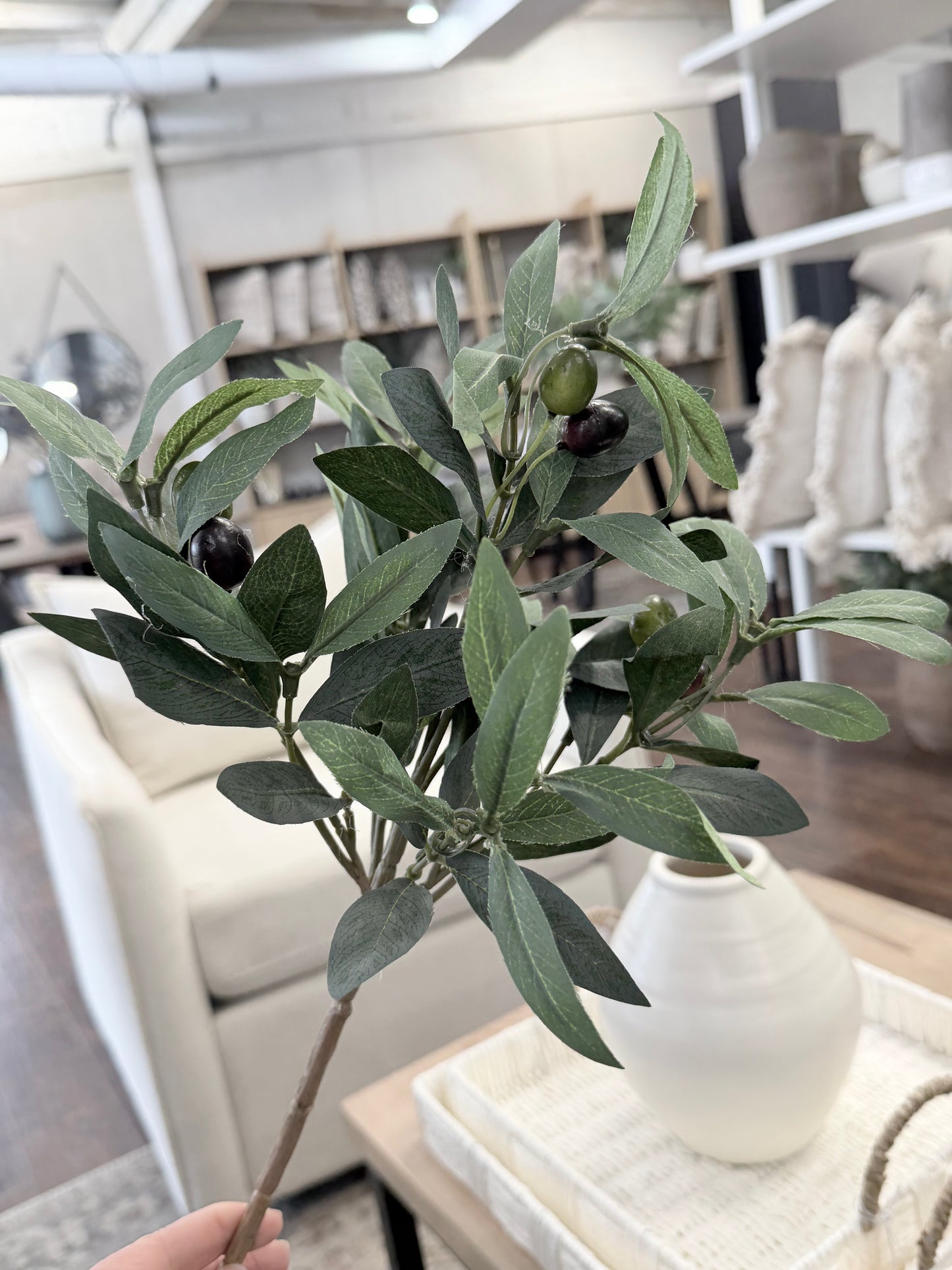 15"Pruned Olive Pick