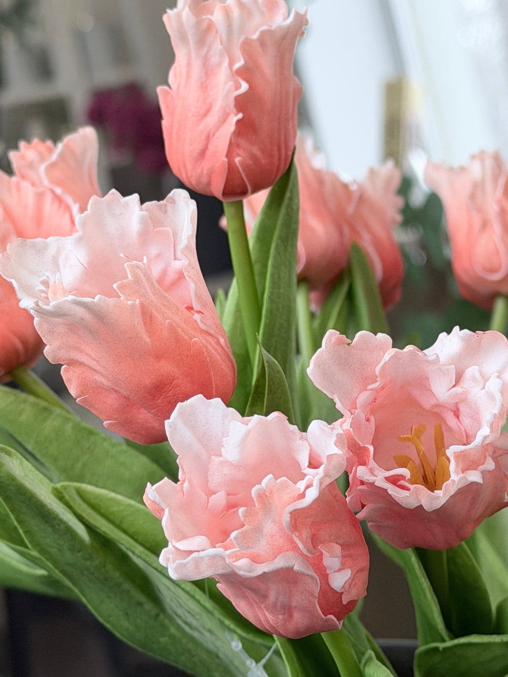 Peach Parrot Tulip