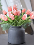 Peach Parrot Tulip