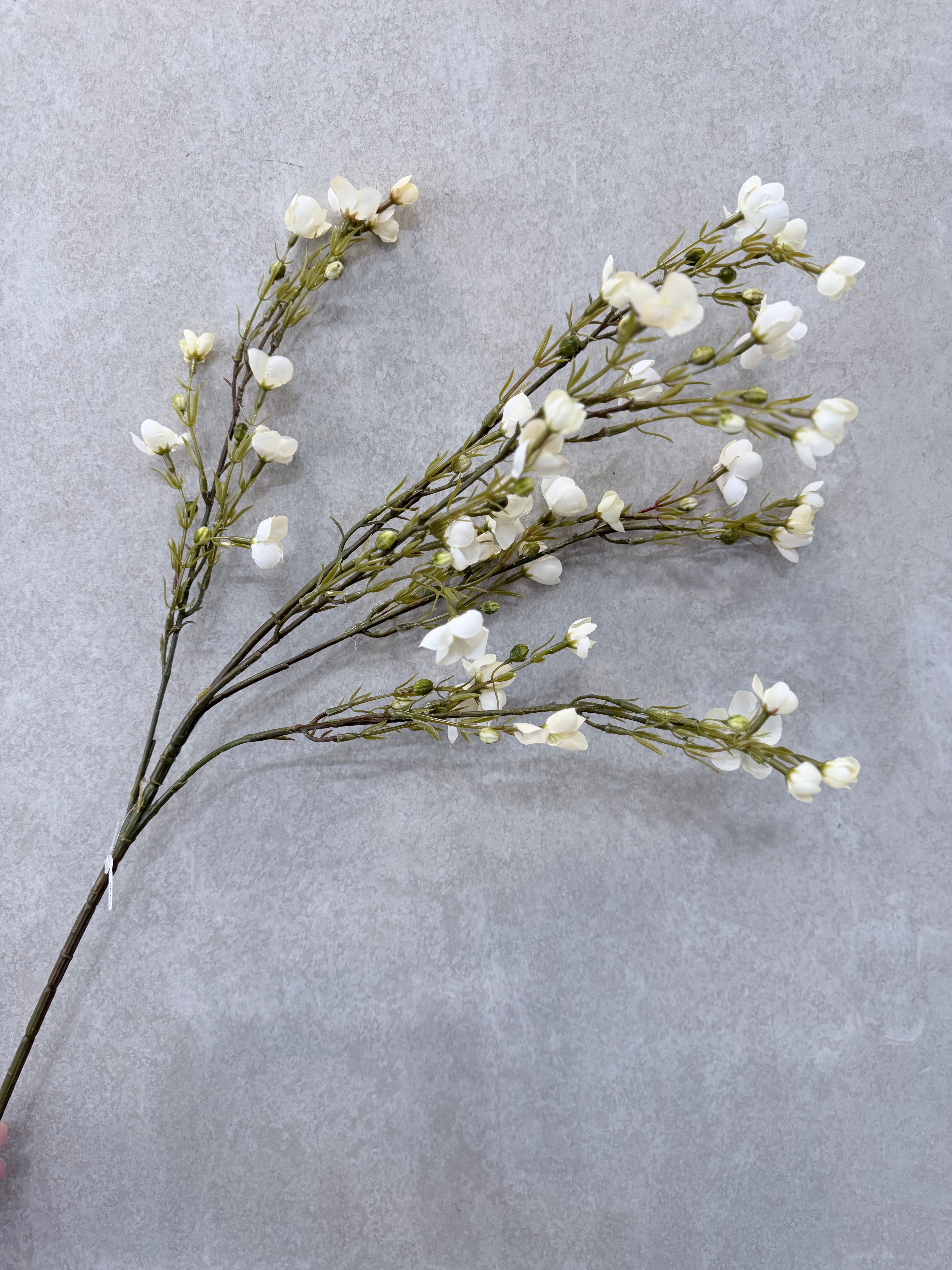 Cream Wax Flower Branch