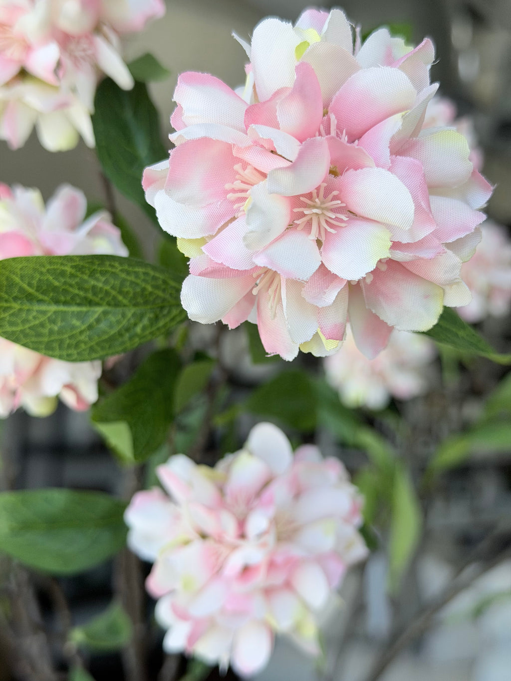 Pink Kerria Spray