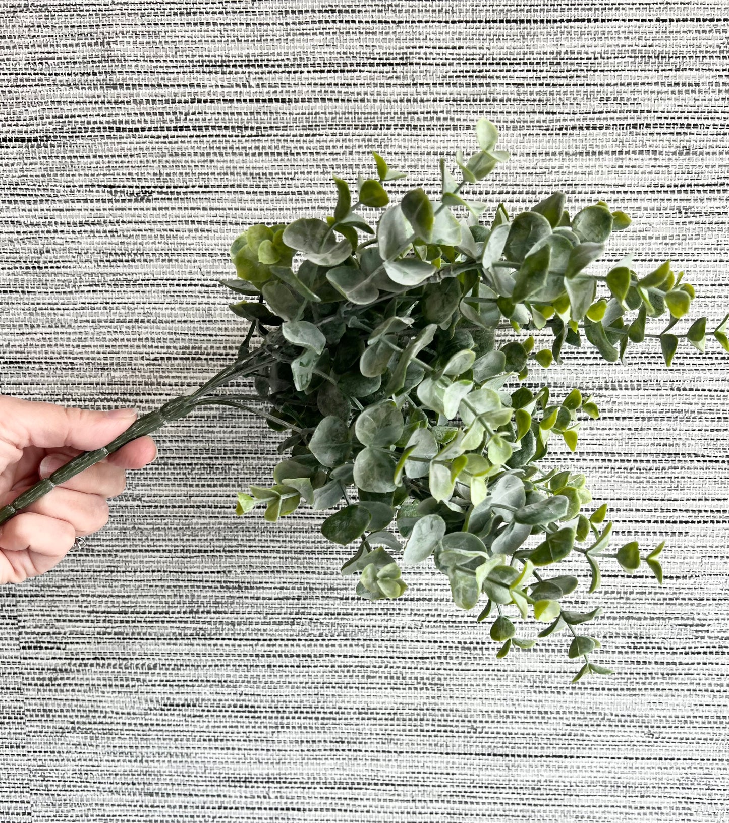 13"  Eucalyptus Bush