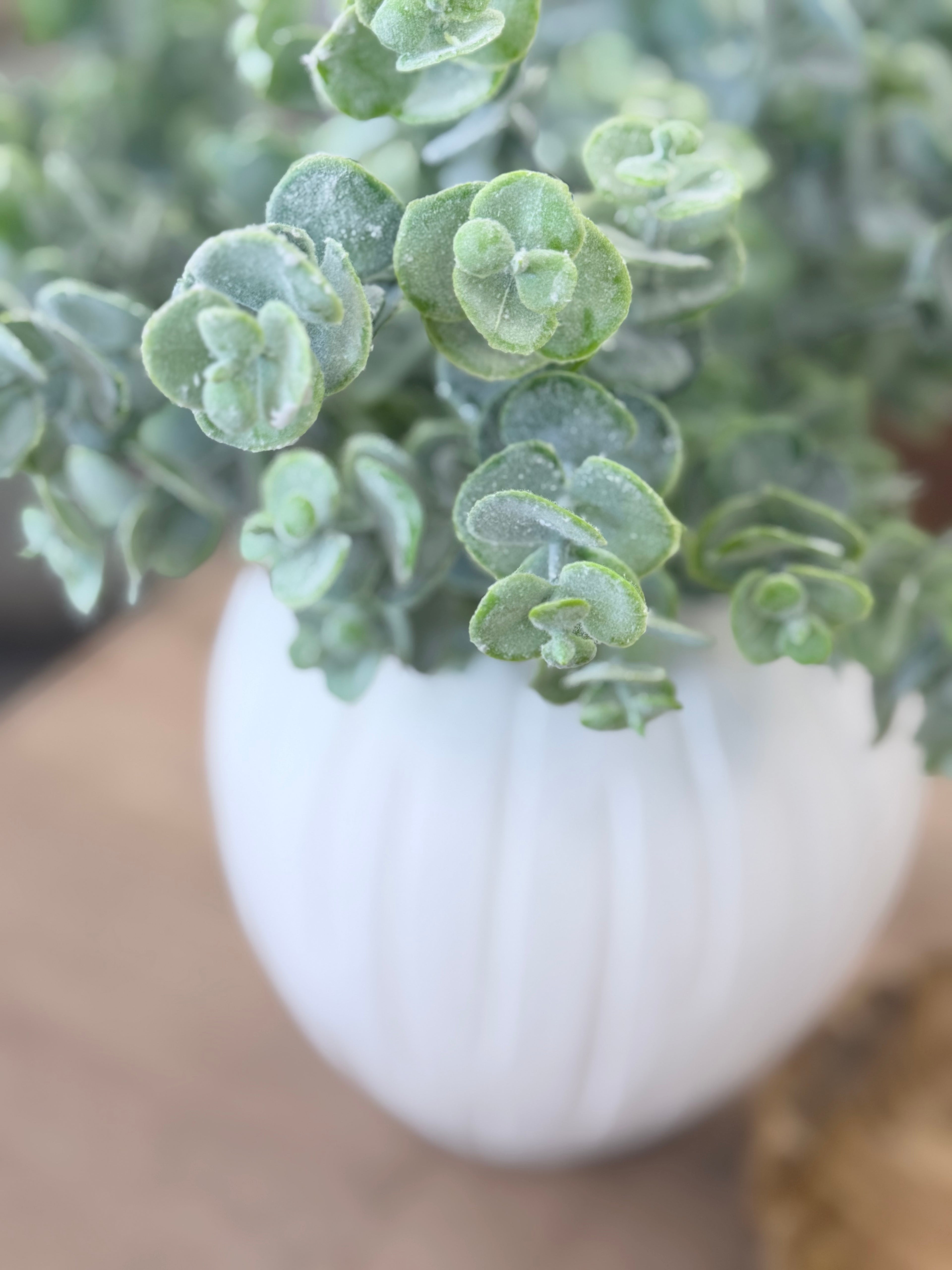 13.8" Eucalyptus Bush