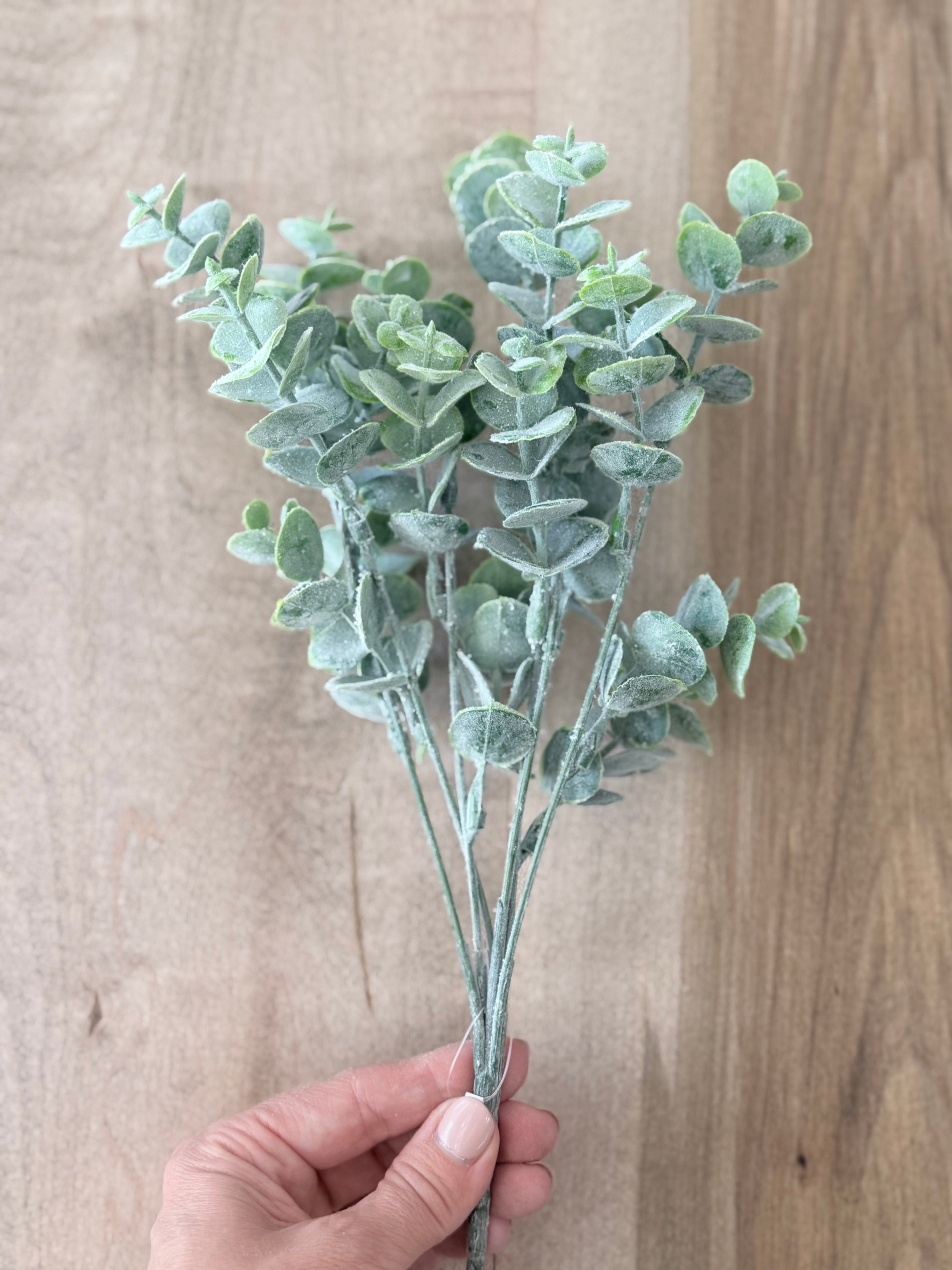 13.8" Eucalyptus Bush
