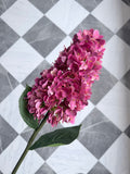 Fuchsia Cone Hydrangea 32"