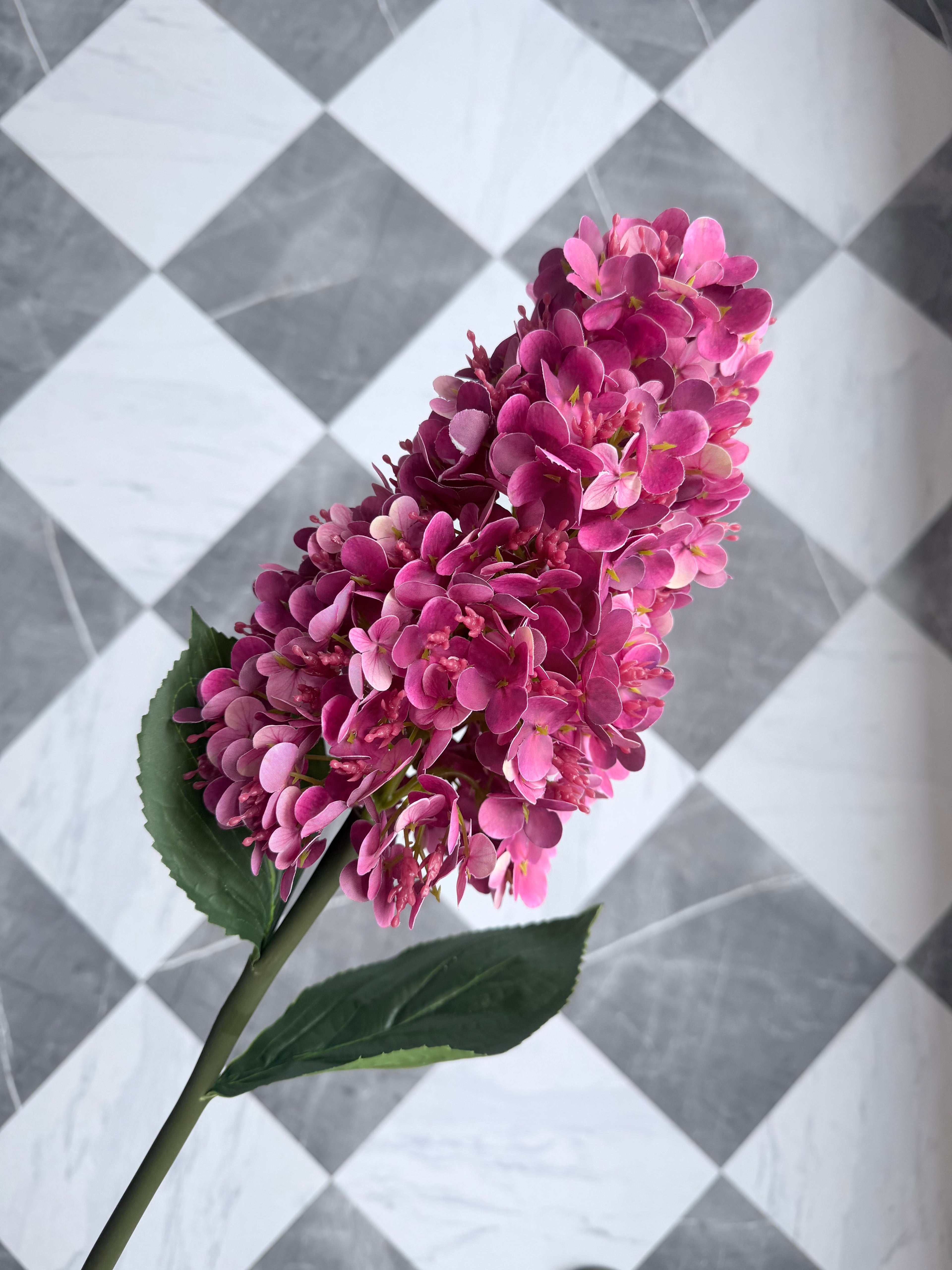 Fuchsia Cone Hydrangea 32"