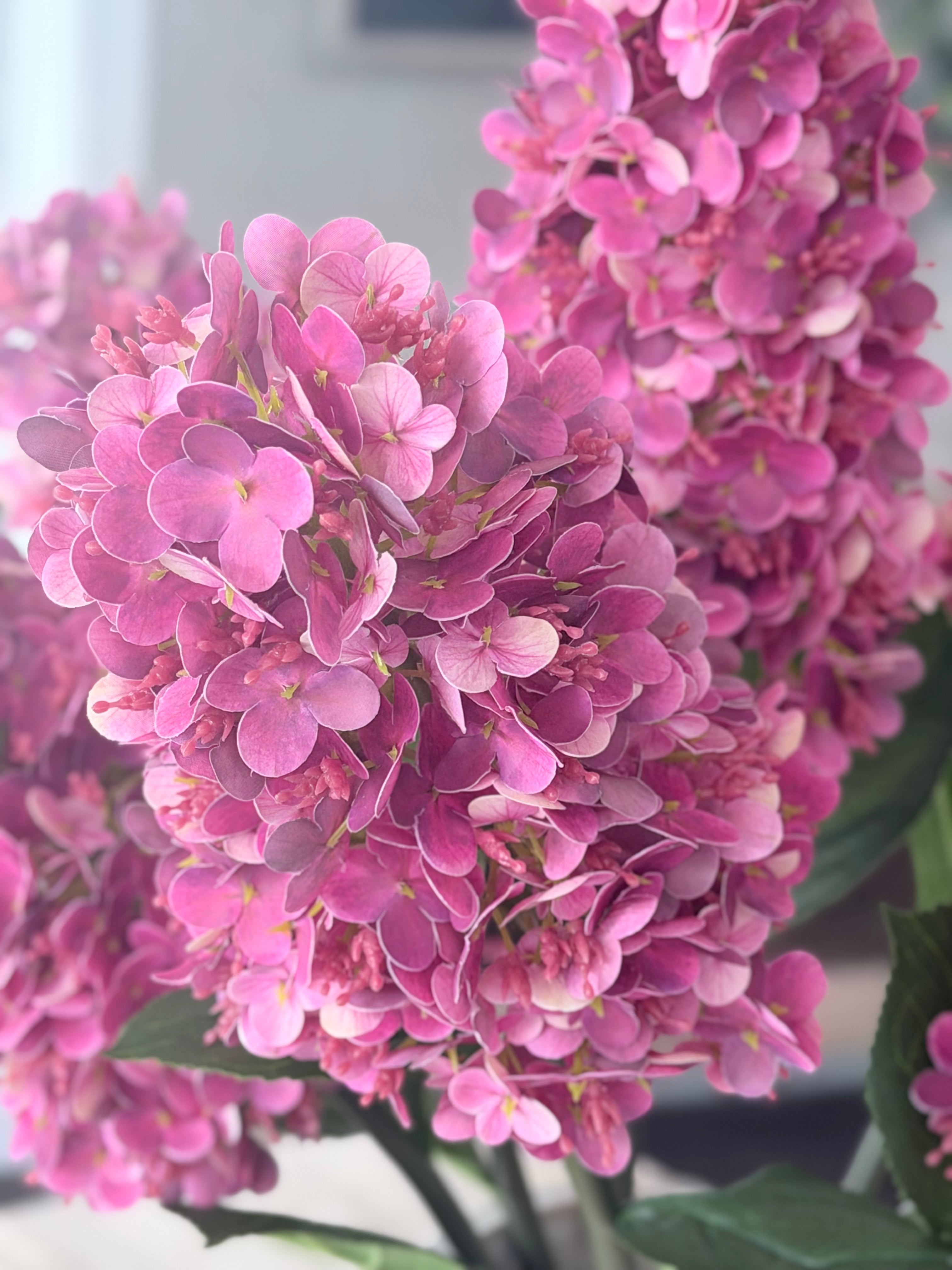 Fuchsia Cone Hydrangea 32"