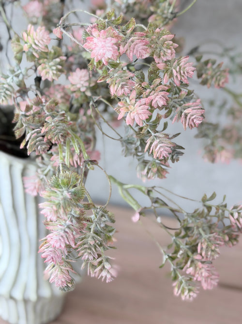 18" Sedum Bush Pink