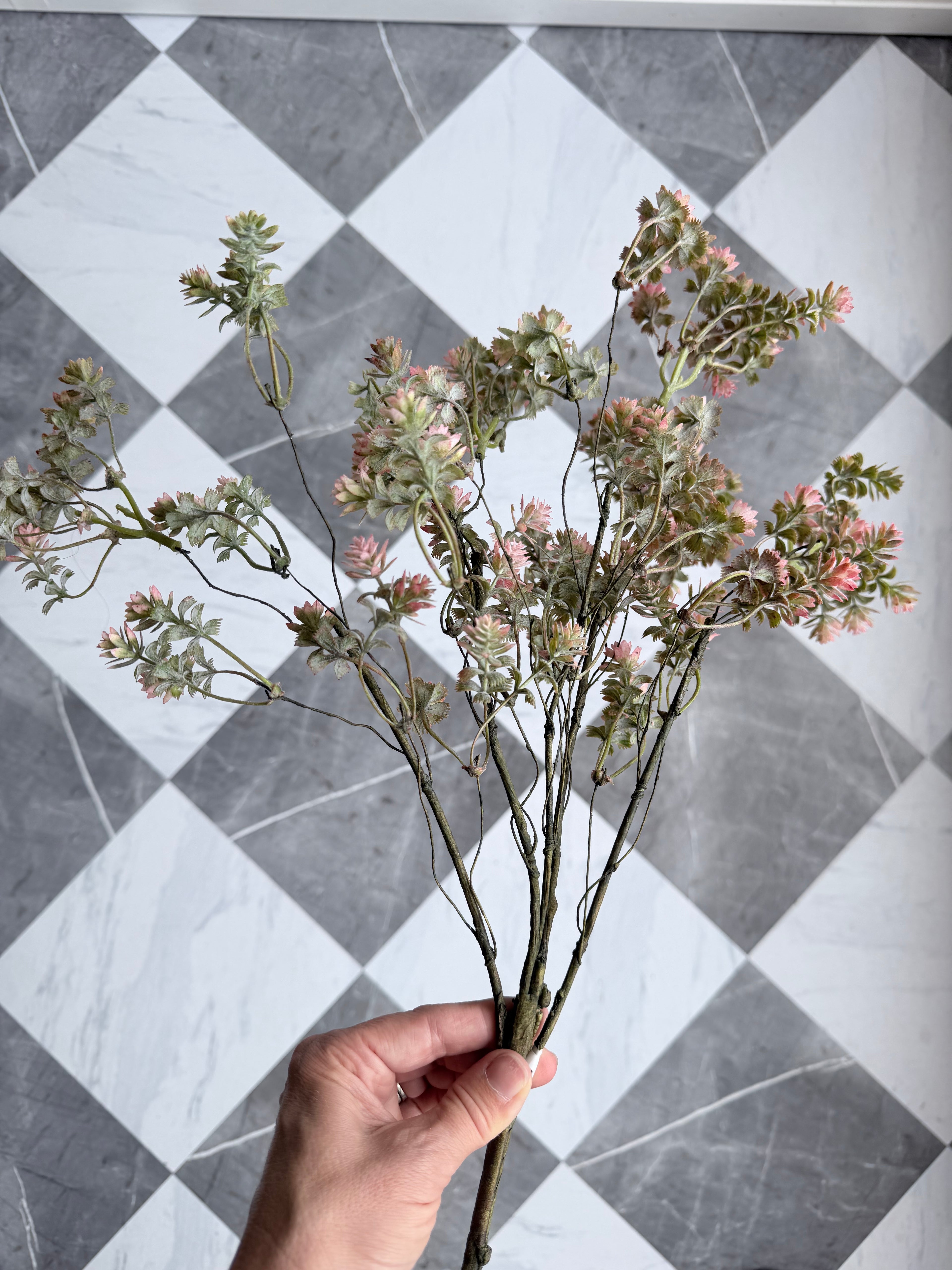 18" Sedum Bush Pink