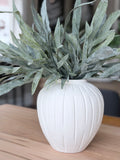 Java Fern Stem 18"