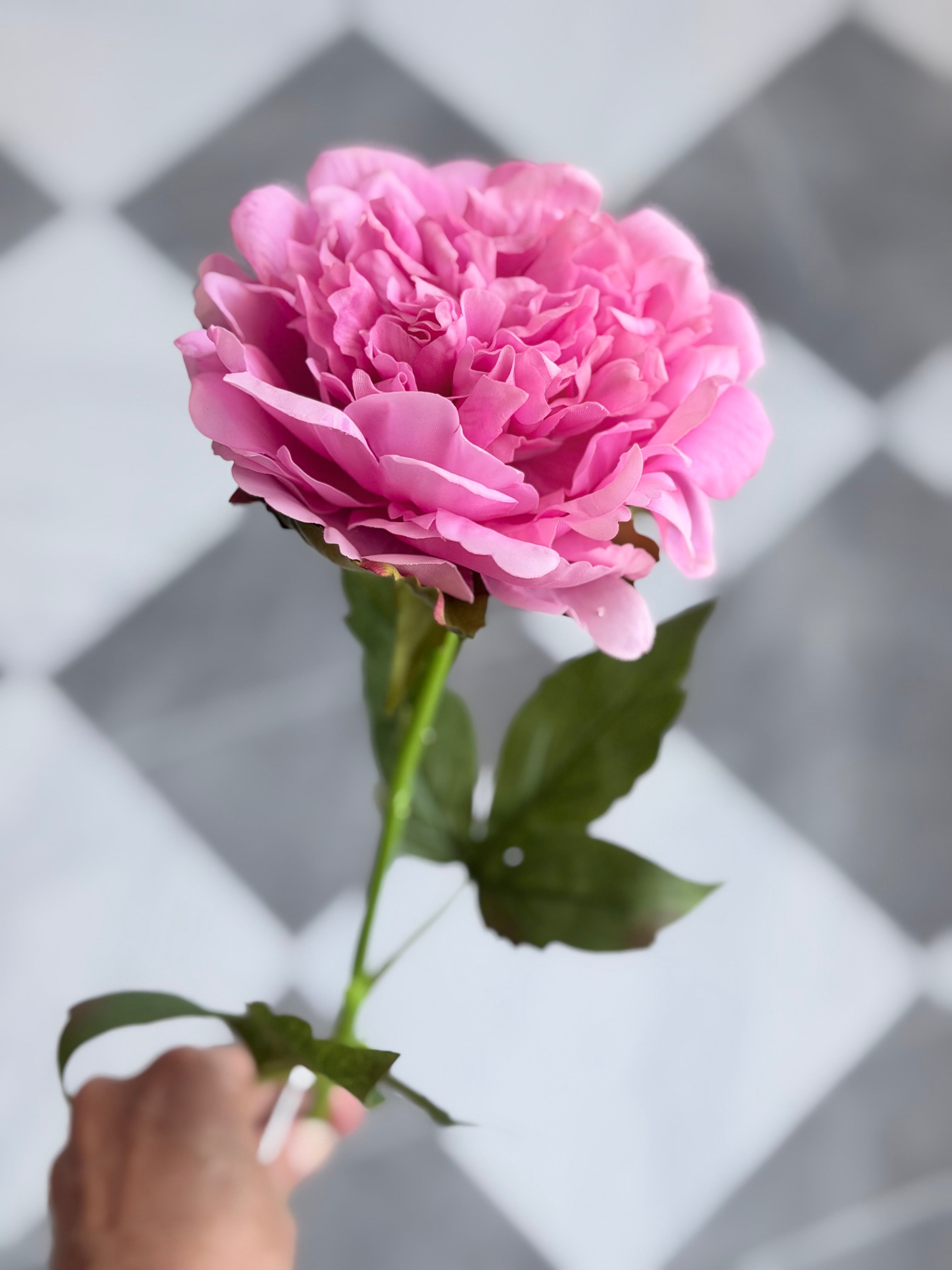 23" Peony PInk