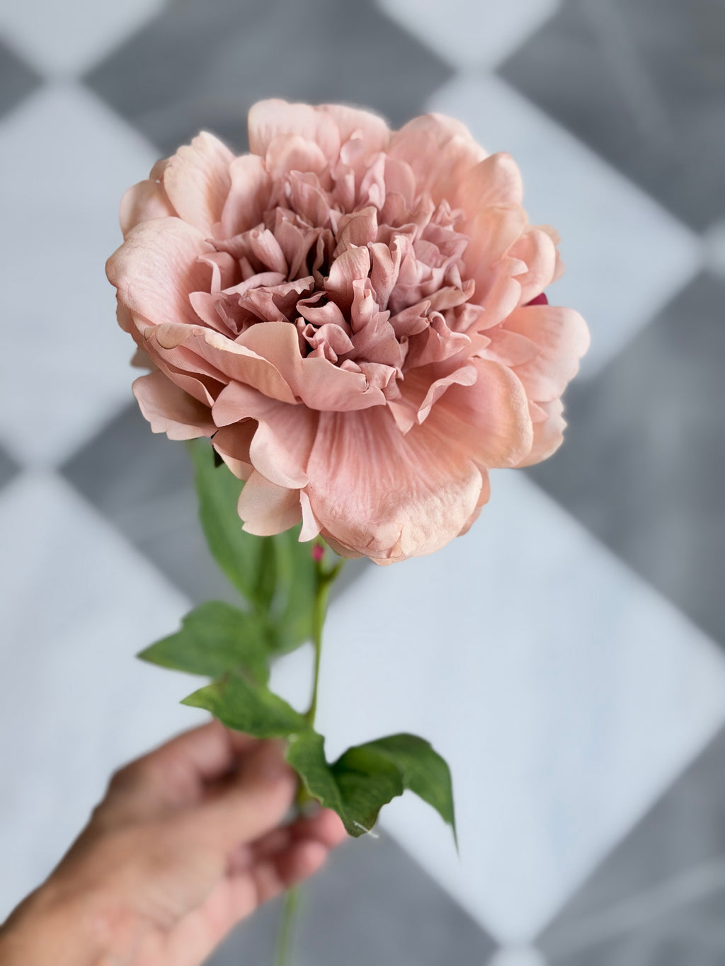 23" Peony Mauve