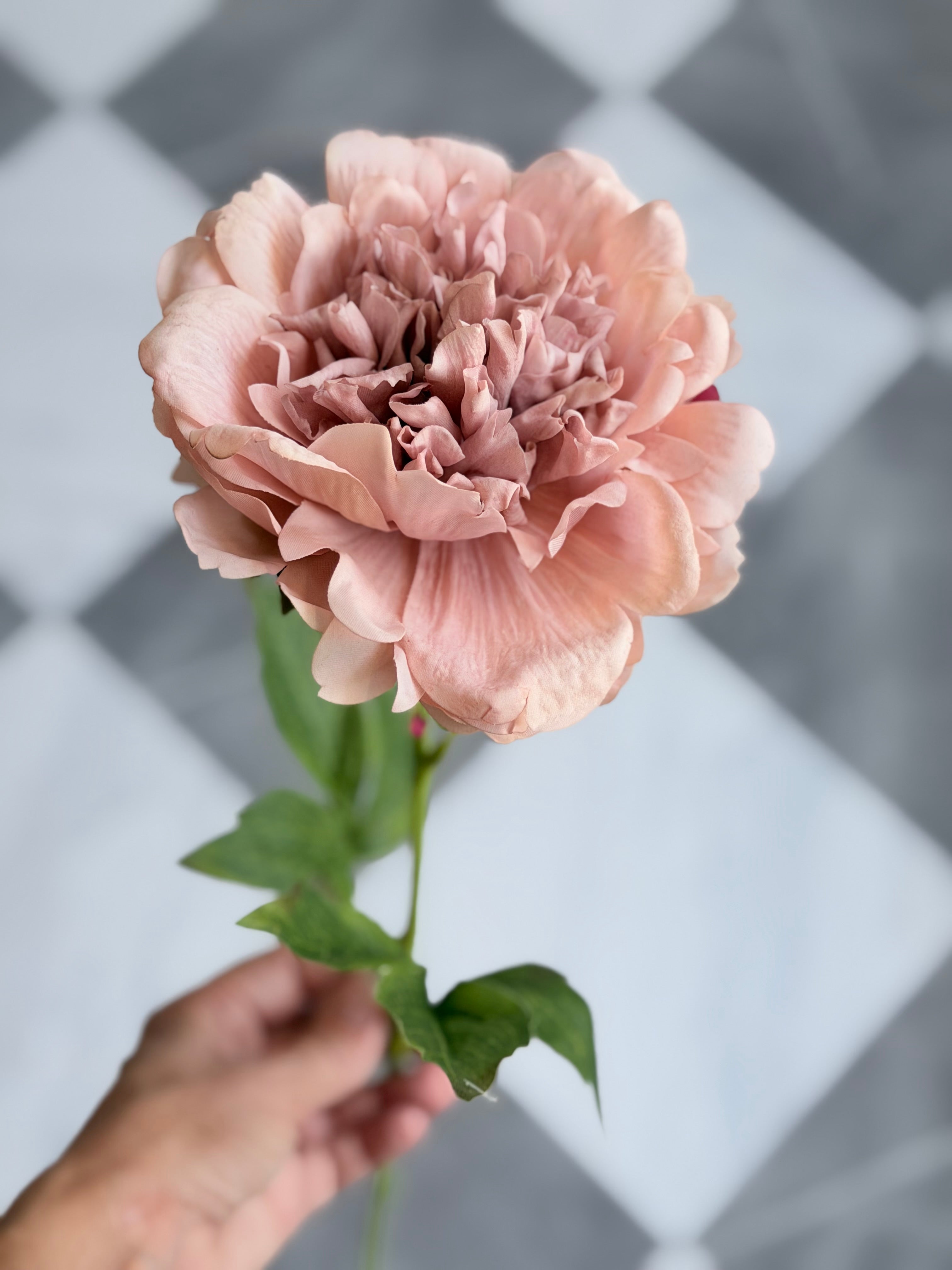 23" Peony Mauve
