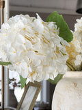 18" Creamy Hydrangea