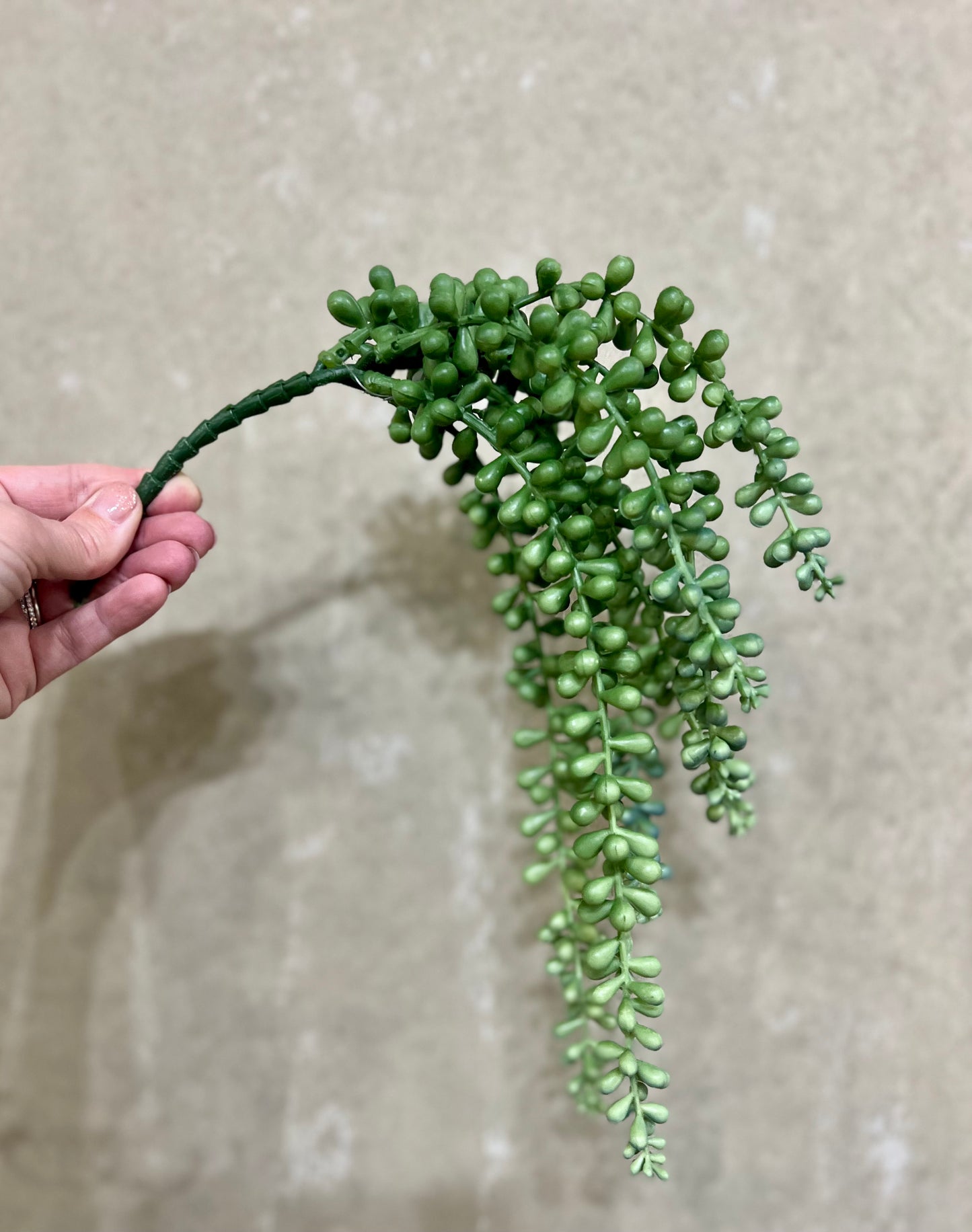 10" String of Pearls