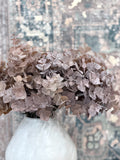 Brown Eucalyptus Bundle